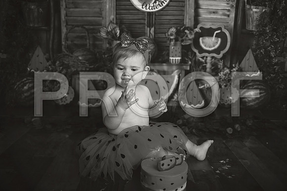 Kansas City Watermelon Cake Smash Photographer | First Birthday Portraits