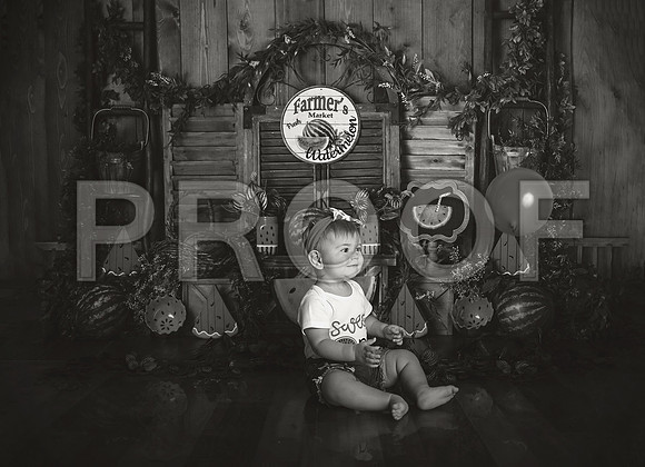 Kansas City Watermelon Cake Smash Photographer | First Birthday Portraits
