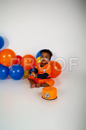 Anime First Birthday Cake Smash Photography in Kansas City