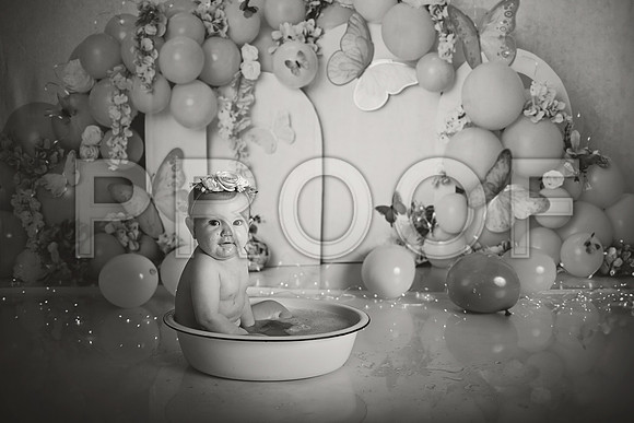 Kansas City Cake Smash Photographer | Butterfly Theme Portraits | Heather Sears Photography