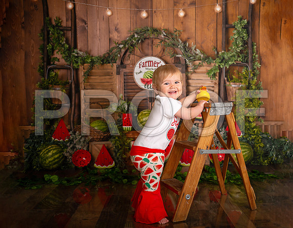 Kansas City Watermelon Cake Smash Photographer | First Birthday Portraits