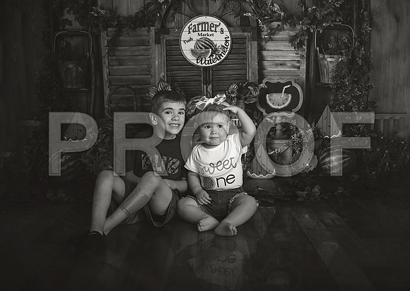 Kansas City Watermelon Cake Smash Photographer | First Birthday Portraits