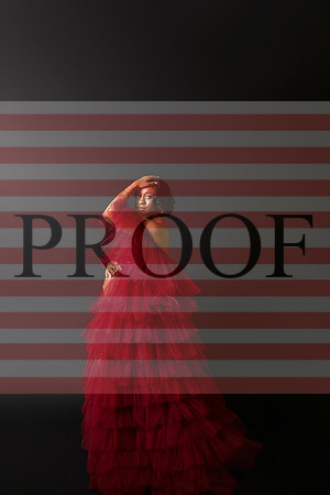 Kansas City Fine Art Studio Maternity Photography | Paola & Osawatomie Studio