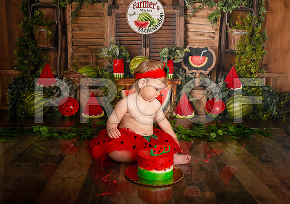 Kansas City Watermelon Cake Smash Photographer | First Birthday Portraits