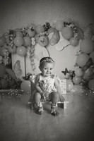 Kansas City Cake Smash Photographer | Butterfly Theme Portraits | Heather Sears Photography