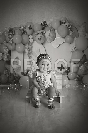 Kansas City Cake Smash Photographer | Butterfly Theme Portraits | Heather Sears Photography