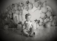 Kansas City Cake Smash Photographer | Butterfly Theme Portraits | Heather Sears Photography
