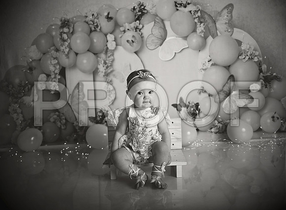 Kansas City Cake Smash Photographer | Butterfly Theme Portraits | Heather Sears Photography