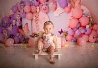 Kansas City Cake Smash Photographer | Butterfly Theme Portraits | Heather Sears Photography