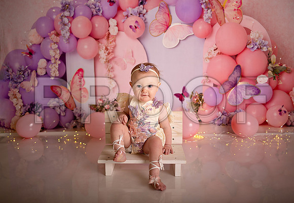 Kansas City Cake Smash Photographer | Butterfly Theme Portraits | Heather Sears Photography