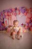 Kansas City Cake Smash Photographer | Butterfly Theme Portraits | Heather Sears Photography
