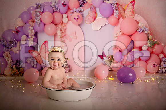 Kansas City Cake Smash Photographer | Butterfly Theme Portraits | Heather Sears Photography