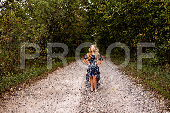 ©danelle hevron studio