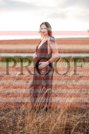 Fine Art Kansas City Maternity Photography | Luxury Pregnancy Portraits