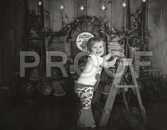 Kansas City Watermelon Cake Smash Photographer | First Birthday Portraits