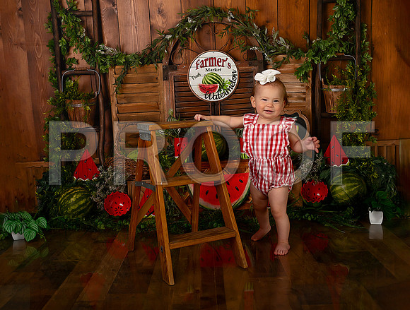 Kansas City Watermelon Cake Smash Photographer | First Birthday Portraits