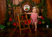 Kansas City Watermelon Cake Smash Photographer | First Birthday Portraits