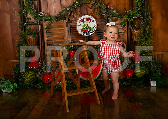 Kansas City Watermelon Cake Smash Photographer | First Birthday Portraits