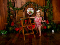 Kansas City Watermelon Cake Smash Photographer | First Birthday Portraits