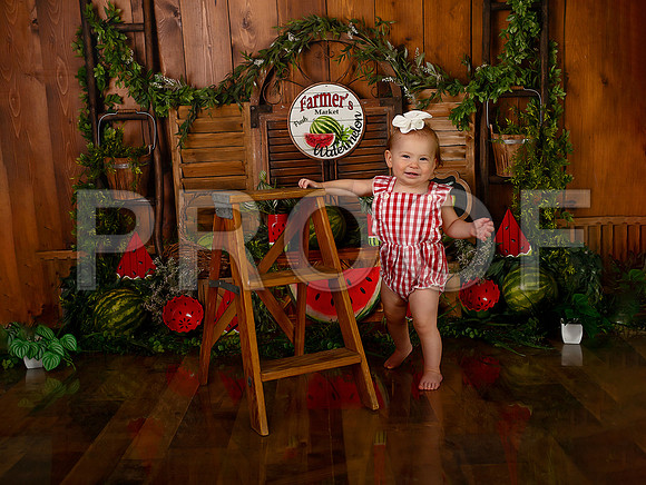 Kansas City Watermelon Cake Smash Photographer | First Birthday Portraits