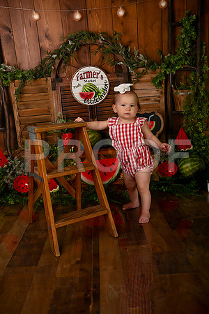 Kansas City Watermelon Cake Smash Photographer | First Birthday Portraits