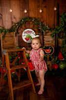 Kansas City Watermelon Cake Smash Photographer | First Birthday Portraits