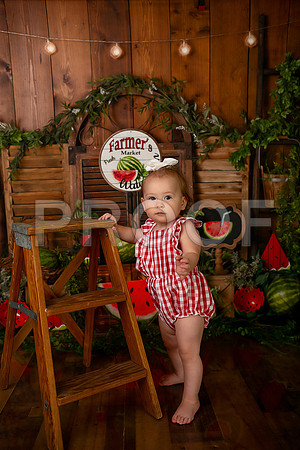 Kansas City Watermelon Cake Smash Photographer | First Birthday Portraits