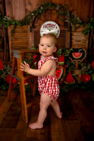 Kansas City Watermelon Cake Smash Photographer | First Birthday Portraits