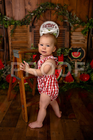 Kansas City Watermelon Cake Smash Photographer | First Birthday Portraits