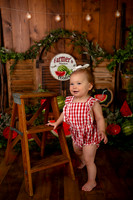 Kansas City Watermelon Cake Smash Photographer | First Birthday Portraits
