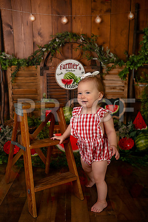 Kansas City Watermelon Cake Smash Photographer | First Birthday Portraits