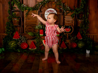 Kansas City Watermelon Cake Smash Photographer | First Birthday Portraits