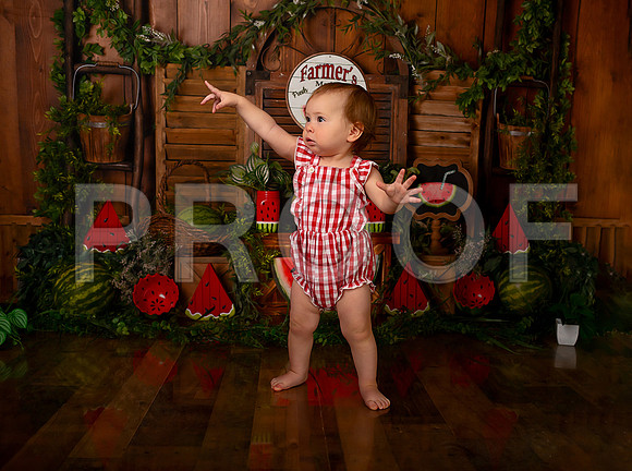 Kansas City Watermelon Cake Smash Photographer | First Birthday Portraits