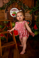 Kansas City Watermelon Cake Smash Photographer | First Birthday Portraits