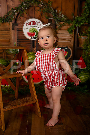 Kansas City Watermelon Cake Smash Photographer | First Birthday Portraits