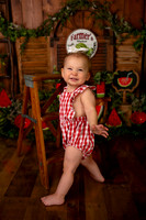 Kansas City Watermelon Cake Smash Photographer | First Birthday Portraits
