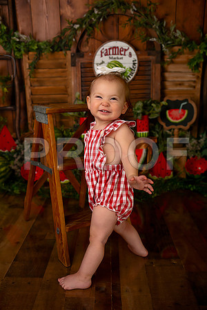 Kansas City Watermelon Cake Smash Photographer | First Birthday Portraits