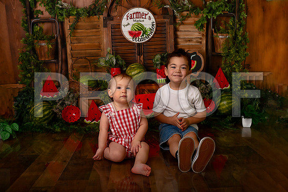 Kansas City Watermelon Cake Smash Photographer | First Birthday Portraits