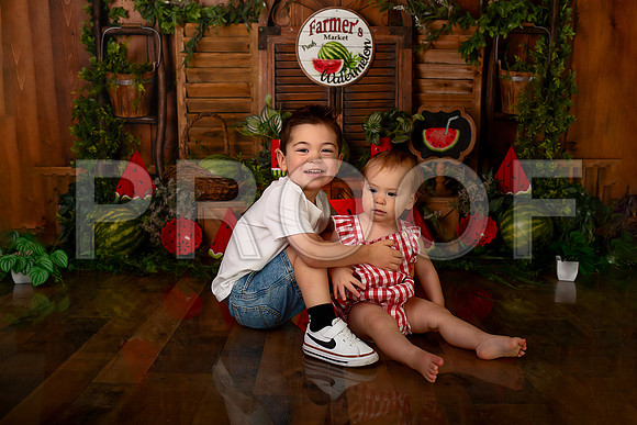Kansas City Watermelon Cake Smash Photographer | First Birthday Portraits