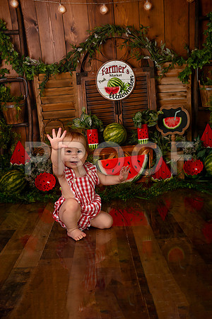 Kansas City Watermelon Cake Smash Photographer | First Birthday Portraits
