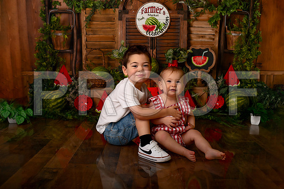 Kansas City Watermelon Cake Smash Photographer | First Birthday Portraits