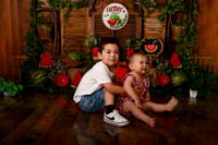 Kansas City Watermelon Cake Smash Photographer | First Birthday Portraits