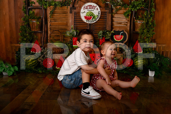 Kansas City Watermelon Cake Smash Photographer | First Birthday Portraits