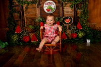 Kansas City Watermelon Cake Smash Photographer | First Birthday Portraits