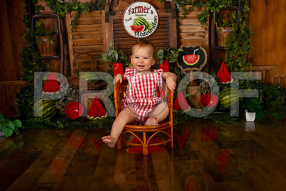 Kansas City Watermelon Cake Smash Photographer | First Birthday Portraits