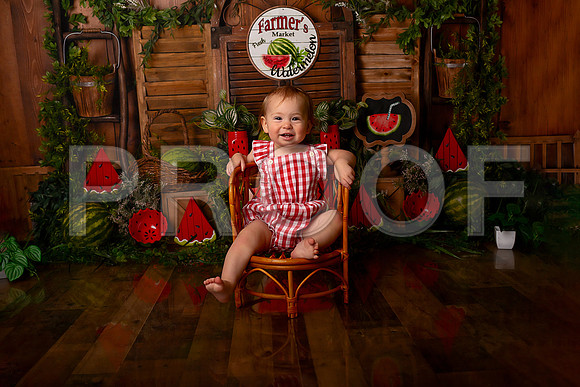 Kansas City Watermelon Cake Smash Photographer | First Birthday Portraits
