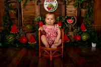 Kansas City Watermelon Cake Smash Photographer | First Birthday Portraits
