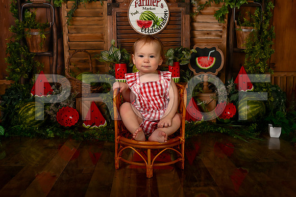Kansas City Watermelon Cake Smash Photographer | First Birthday Portraits