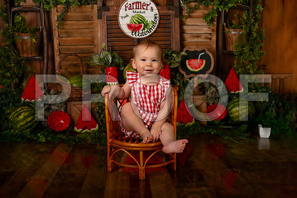 Kansas City Watermelon Cake Smash Photographer | First Birthday Portraits