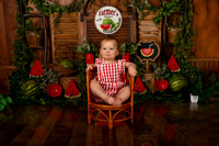 Kansas City Watermelon Cake Smash Photographer | First Birthday Portraits